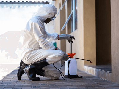 About FortiCoreX Property Inspection - pest control experts in Chino