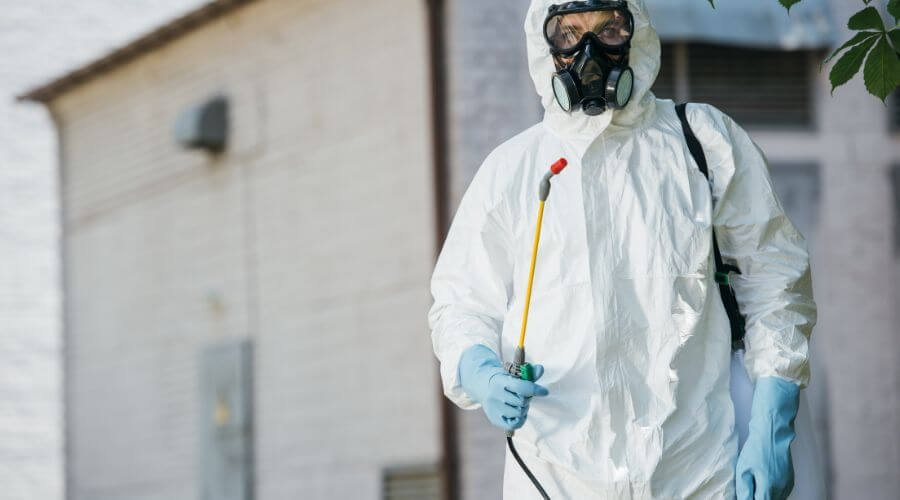 Professional pest control services in Chino